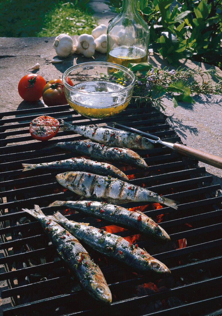 Fisch, Sardinen auf dem Grill Kräuter u. Gewürze