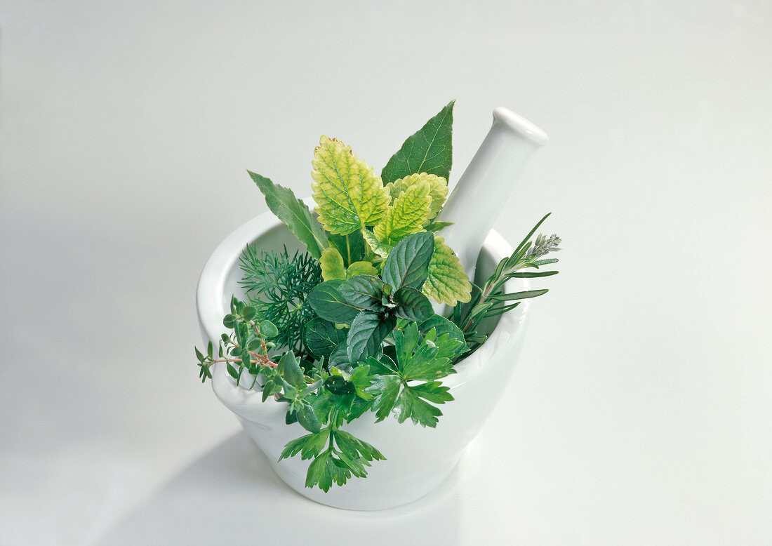 Close-up of fresh herbs in mortar on white background