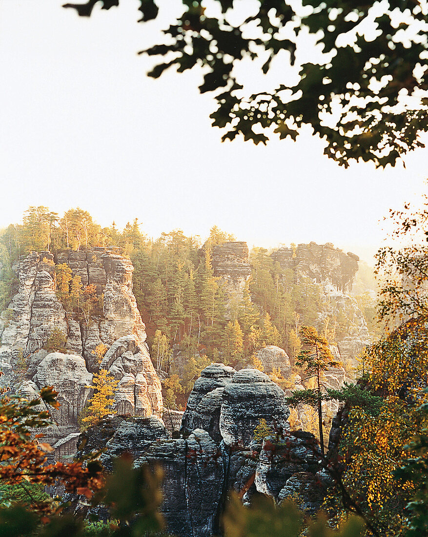 Berglandschaft, Felsen der Bastei, Elbsandsteingebirge in Sachsen