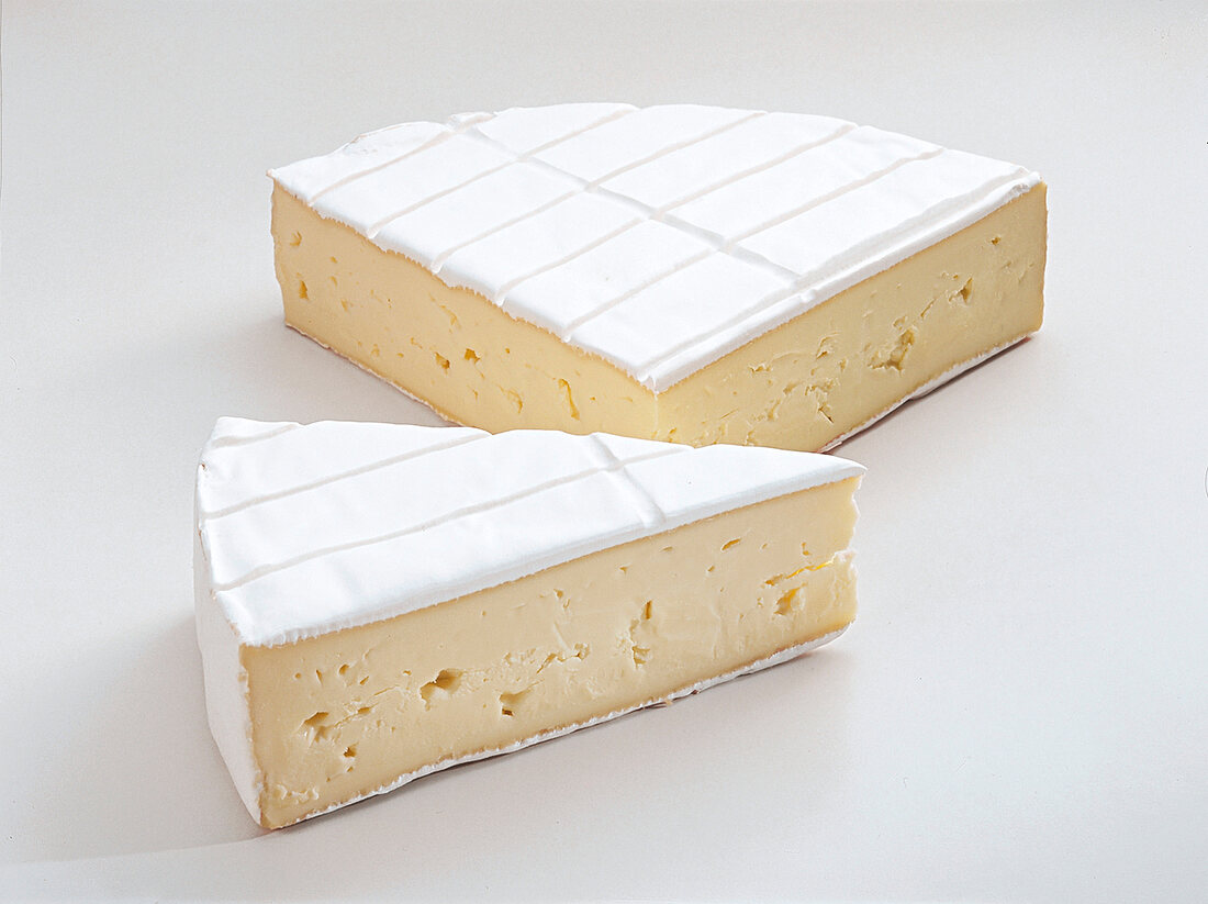Buch vom Käse,"Deutscher Brie" , Weißschimmel, Bruchlochung