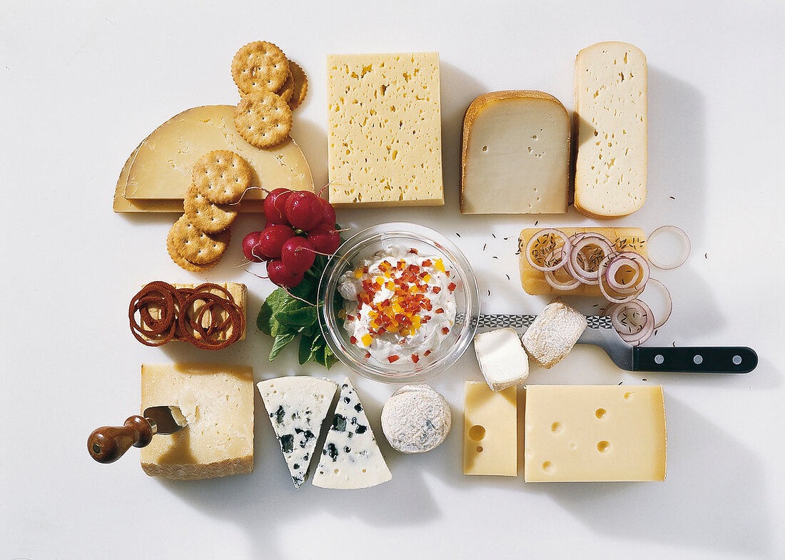 Buch vom Käse, Käsesorten, Cracker, Zwiebelringe, Radieschen