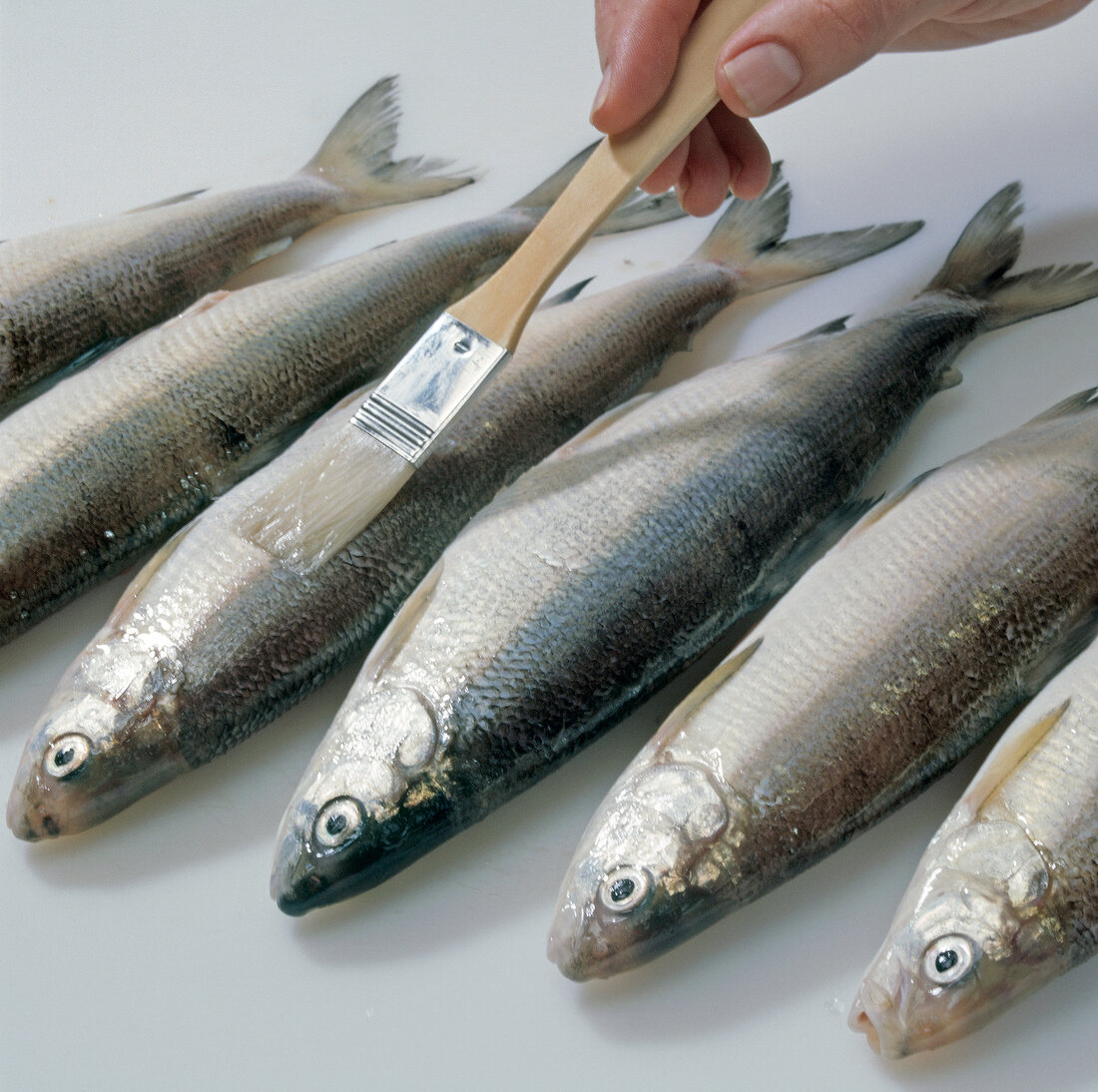 Close-up of hand putting oil with brush on renke fishes, step 1