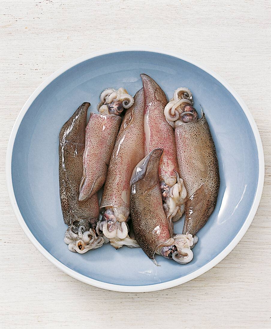 Raw squid on blue plate