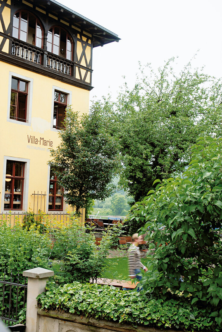 Restaurant Villa Marie im Viertel Blasewitz in Dresden