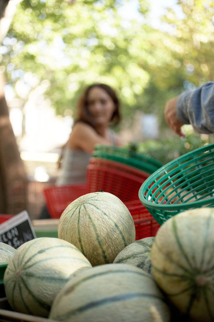 Charentais Melonen in Kisten auf dem Markt liegend