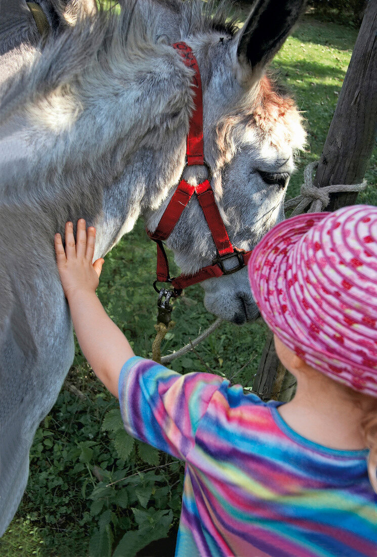 Girl stroking a donkey at Keller Edersee National Park in Hessen, Germany