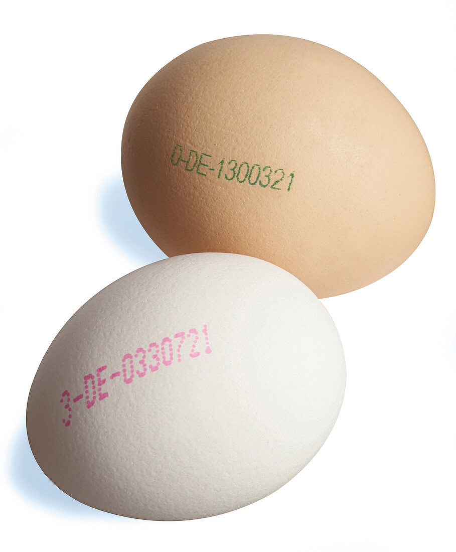 Close-up of 2 chicken eggs with producer code