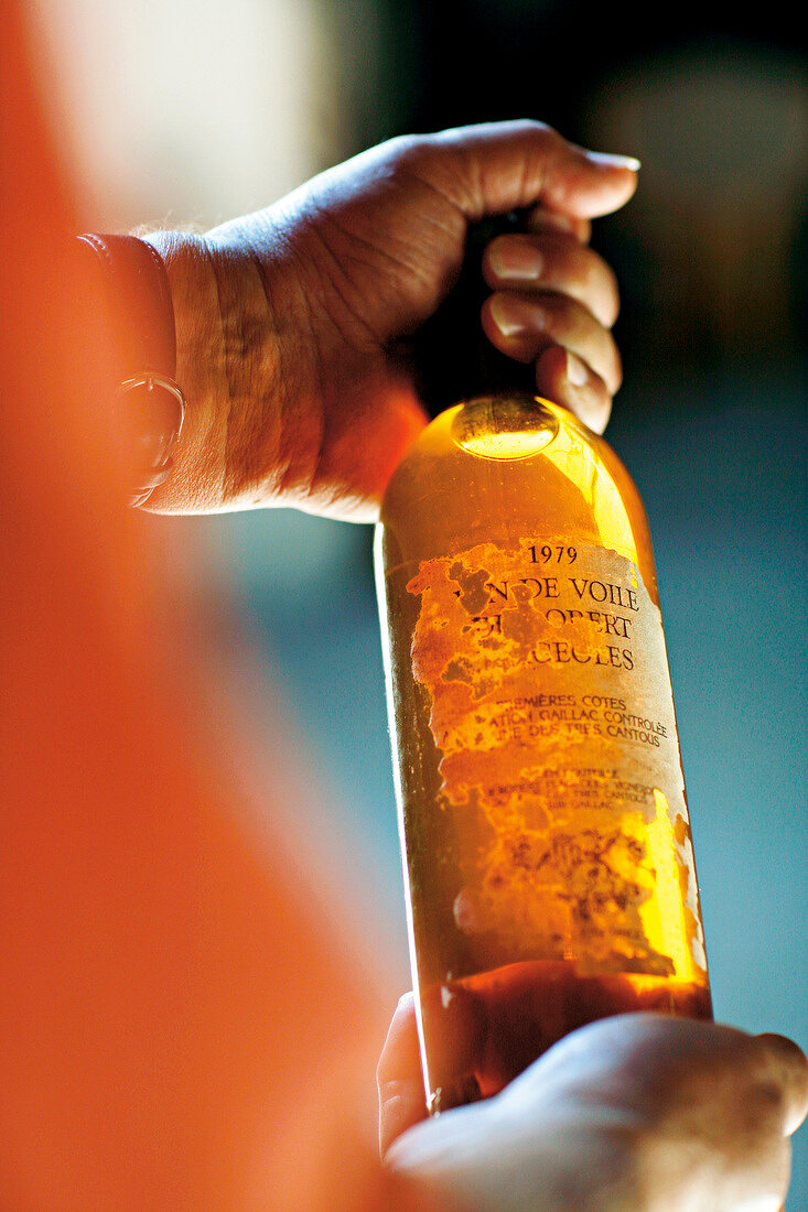 Close-up of man holding bottle of French white wine made in 1979