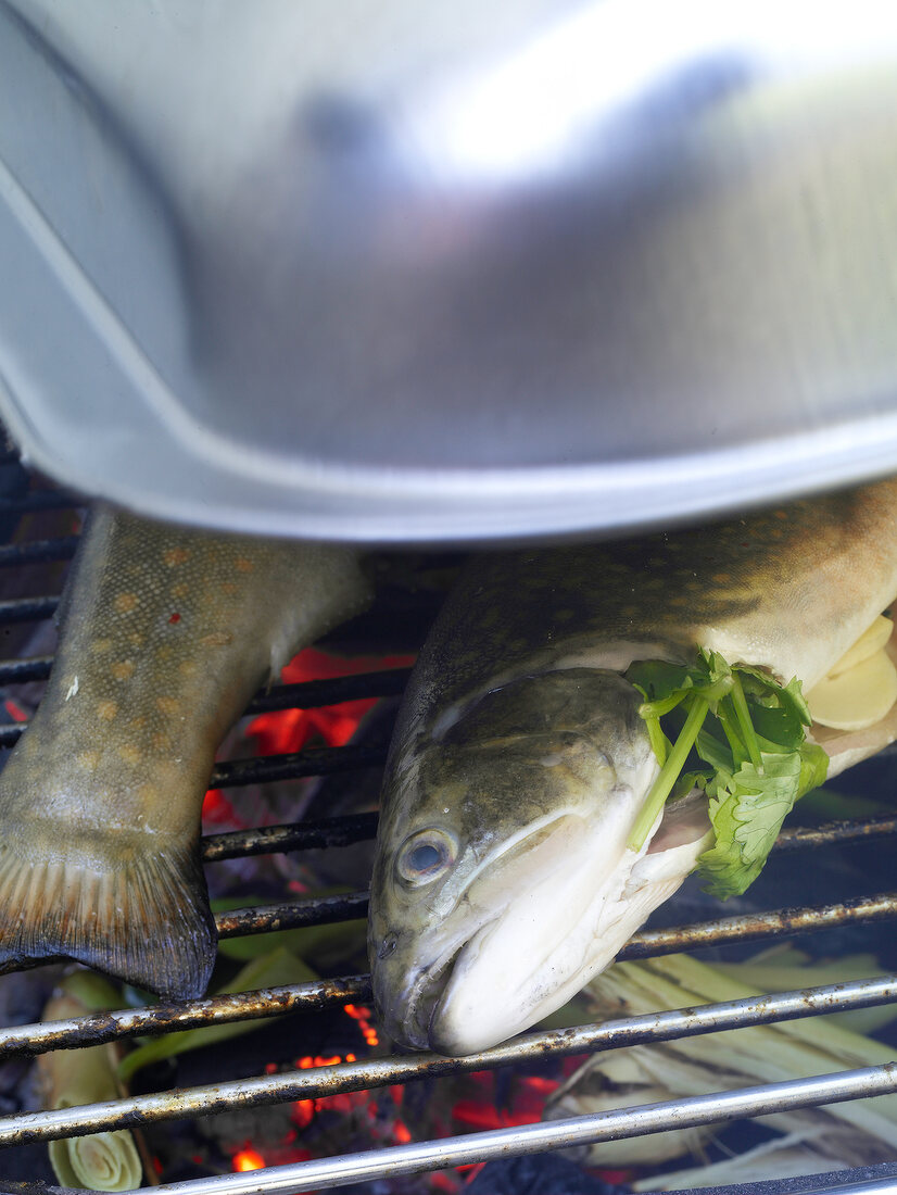 Close-up of fish being grilled with lid on top, step 2