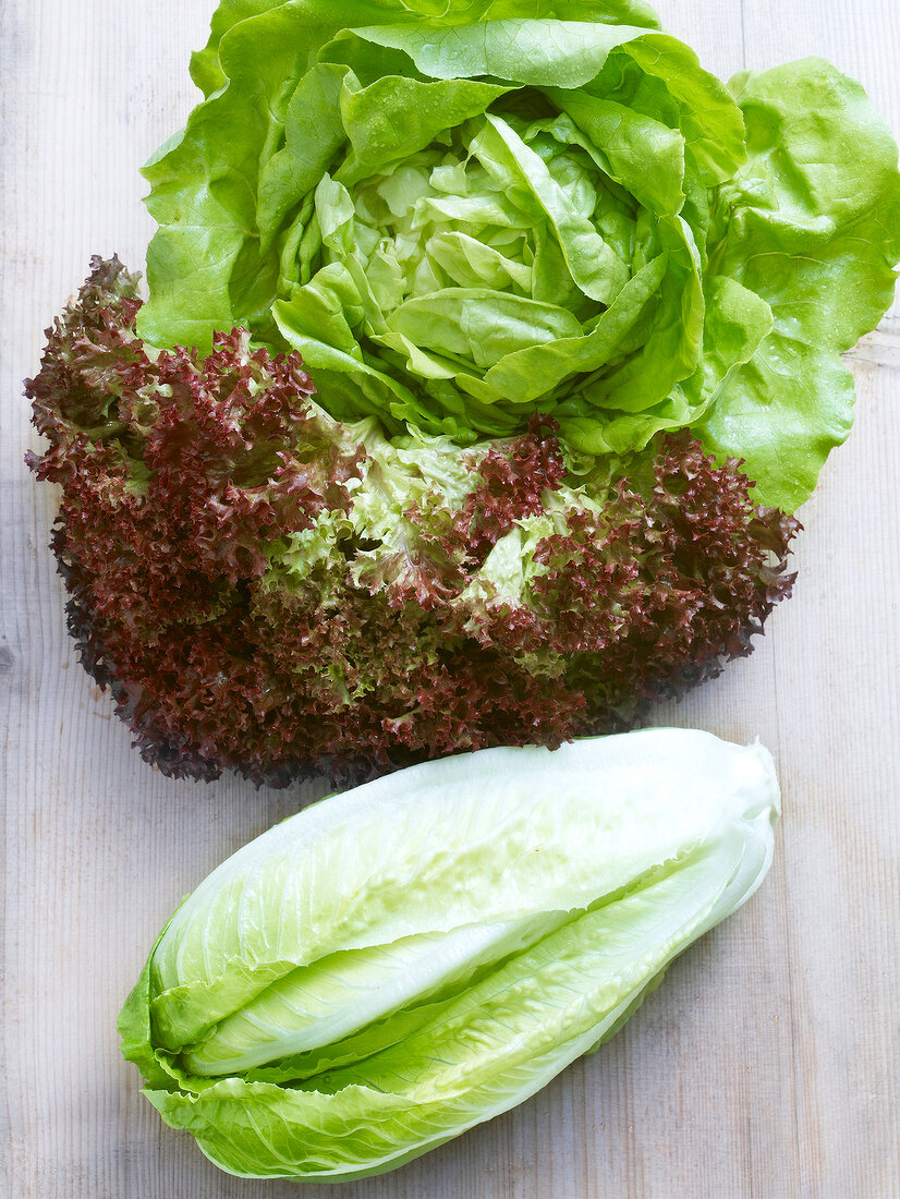 Salate, Eisbergsalat, Lollo Ros- so, Römersalat, grün, rot