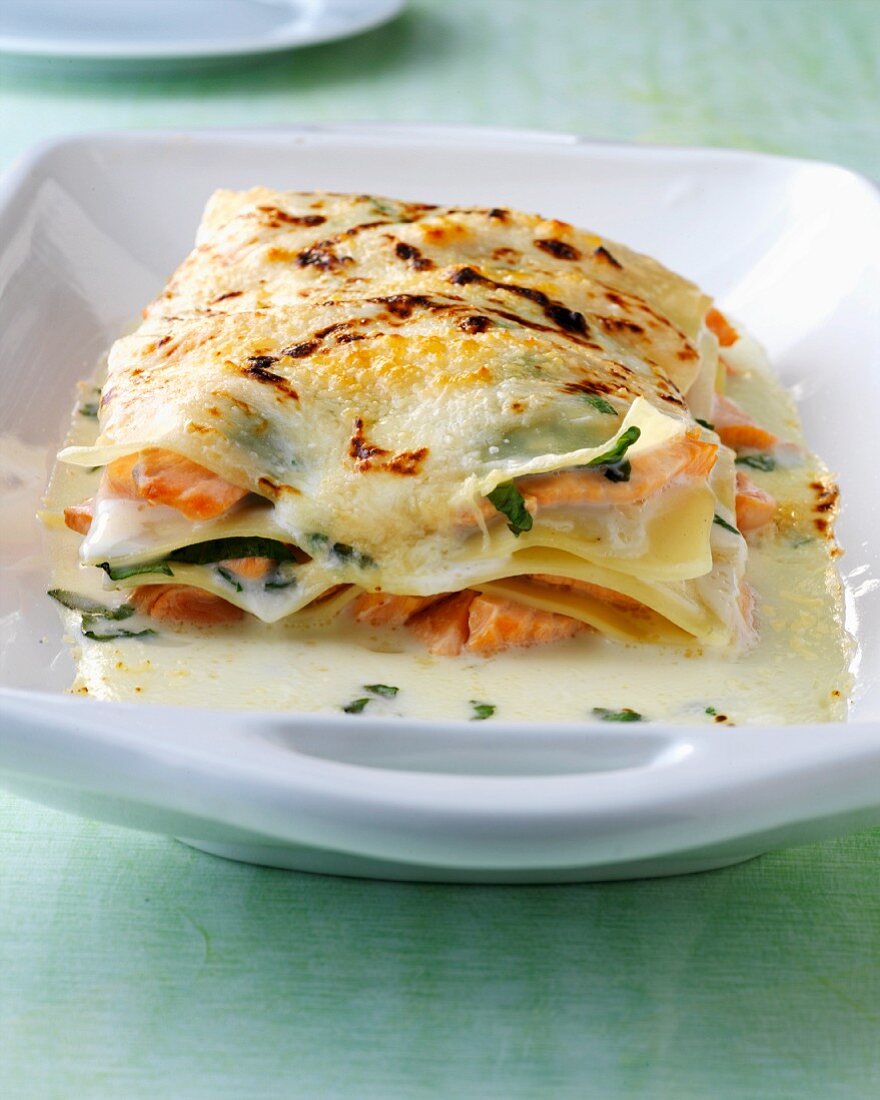 Salmon and spinach lasagne