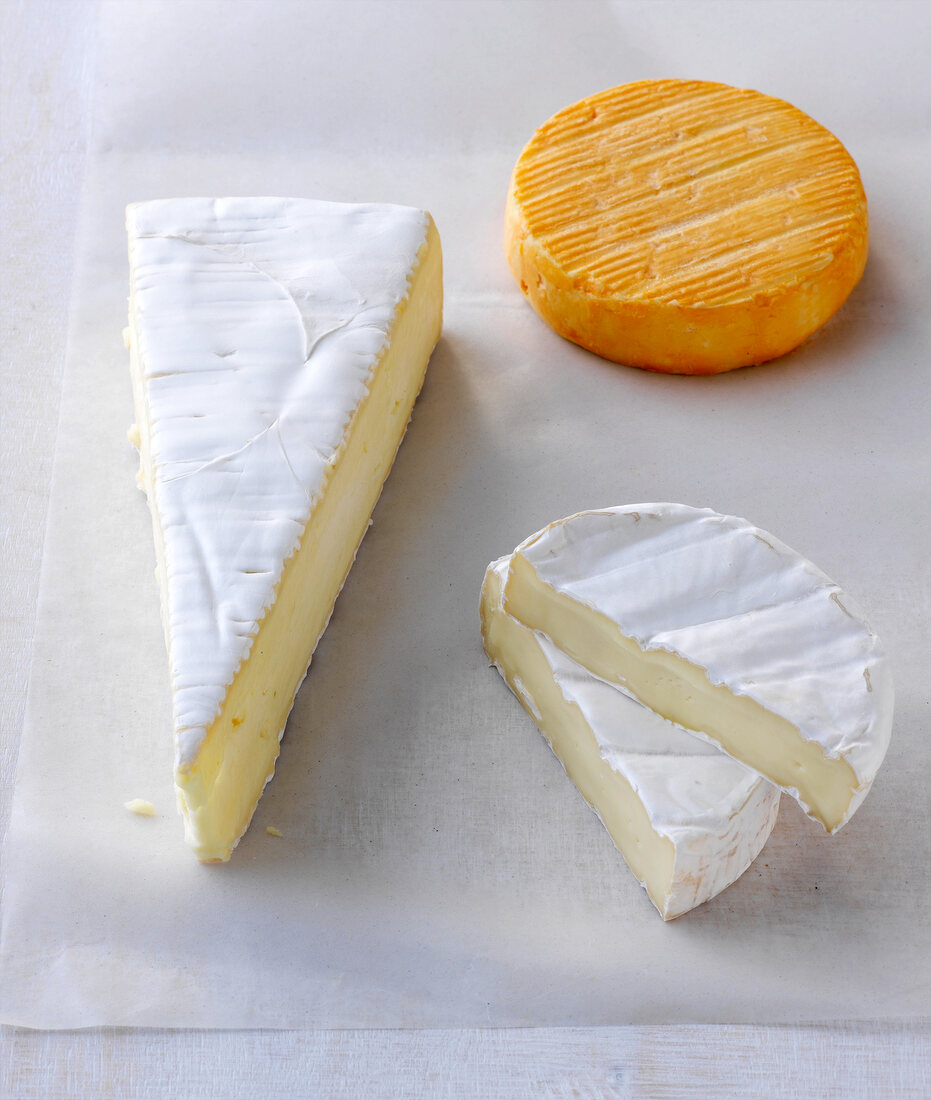 Pieces of camembert cheese on white paper, Munster, Germany