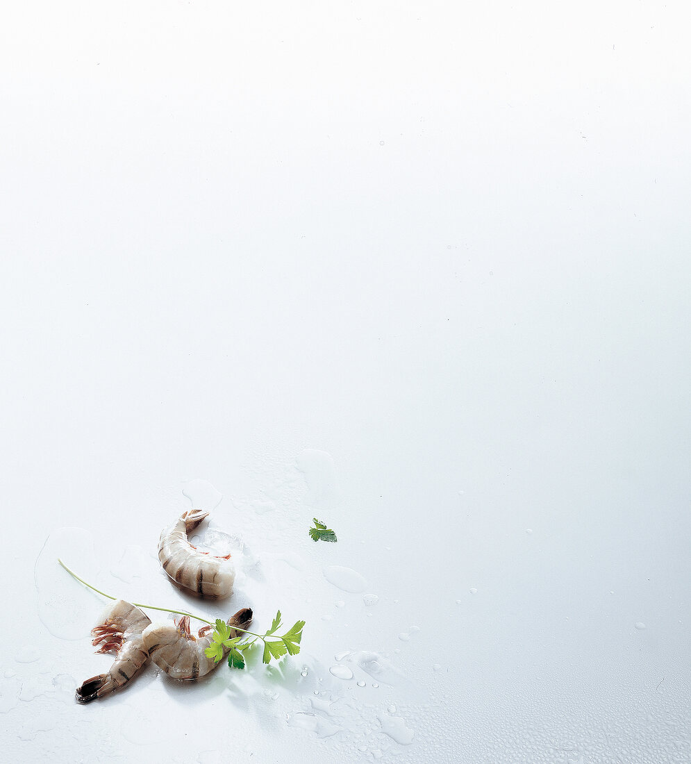 Three prawns with parsley, copy space