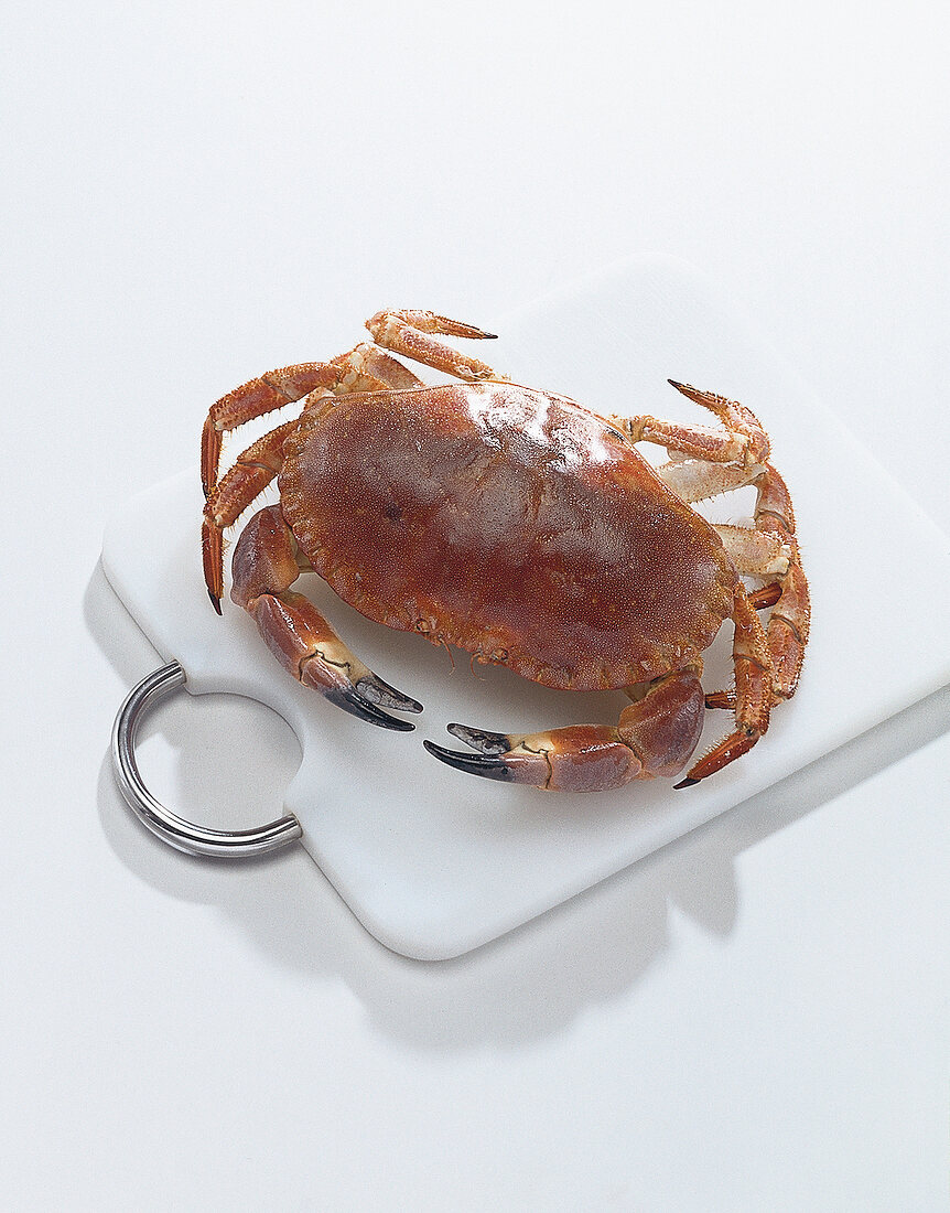 Red crab on cutting board