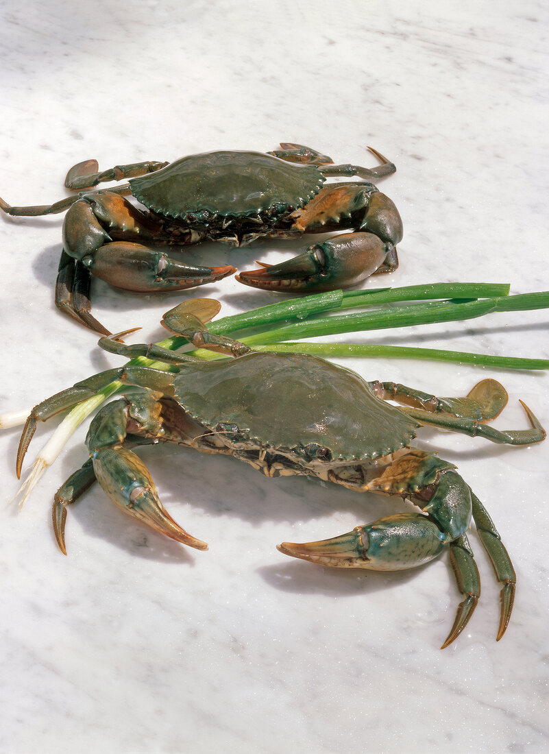 Shrimps, 2 Mangrovenkrabben, Frühlingszwiebeln, große Scheren