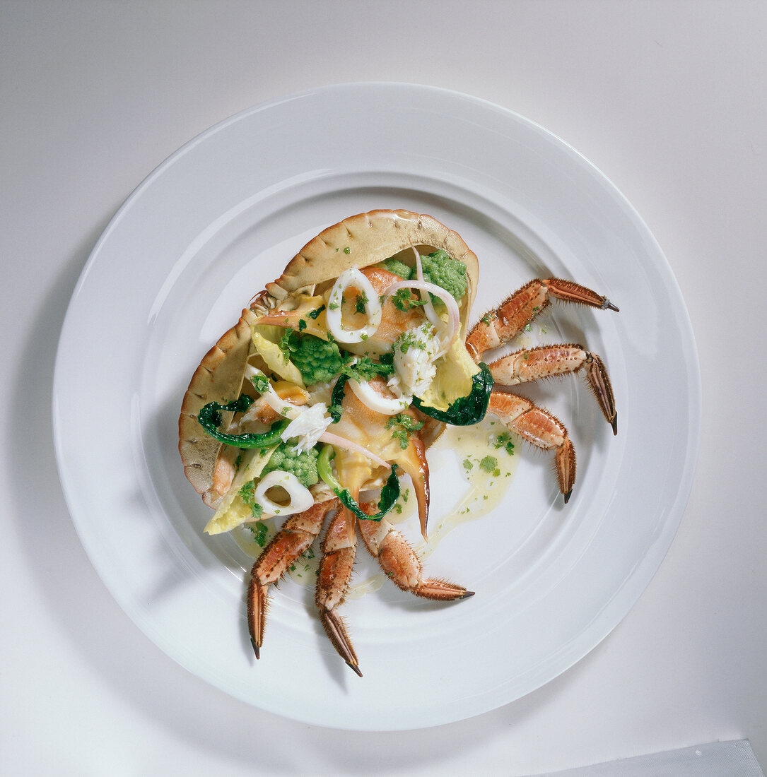 Crab and squid salad with romanesco and chicory on plate