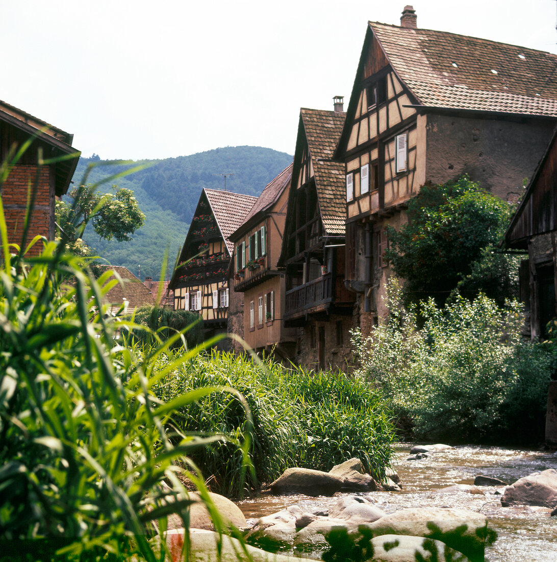 View of half-timbered houses in Alsace vineyards in Alsace, France