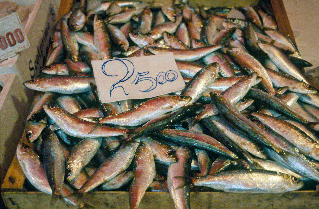 Italian sardines in wooden box with price tag