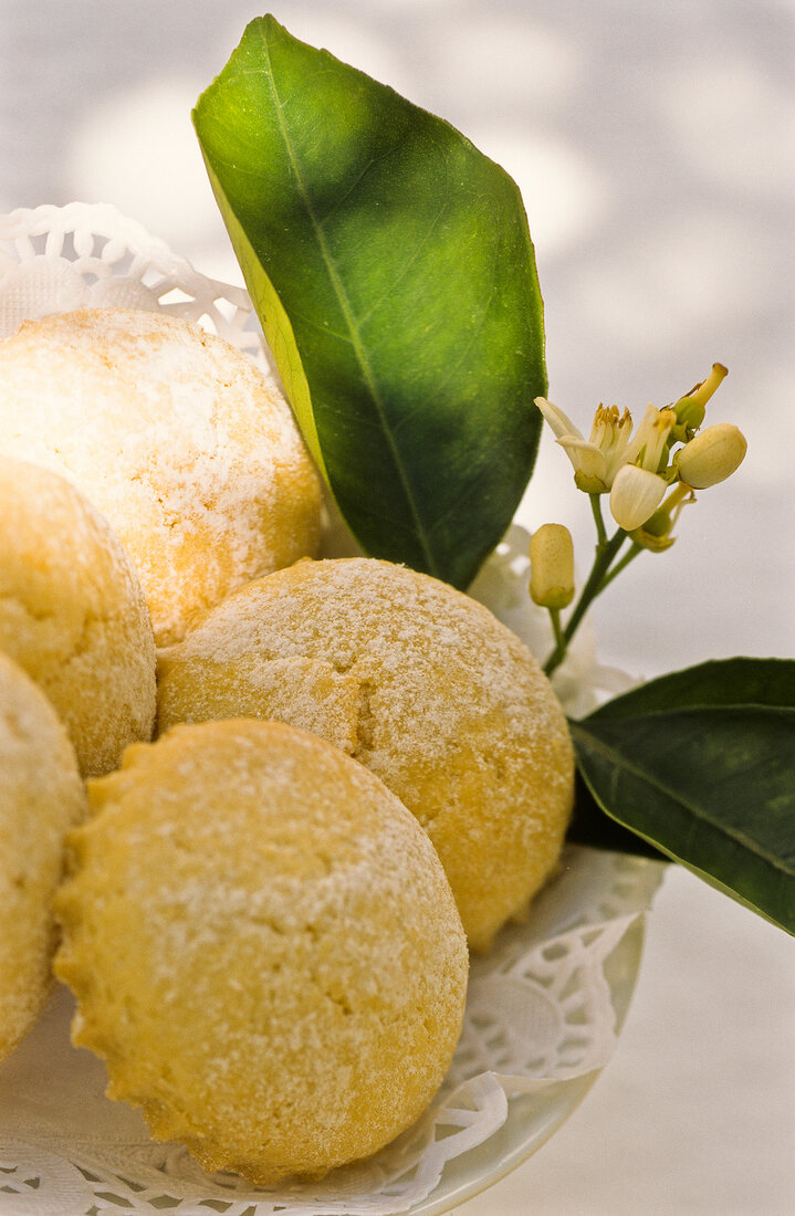 Close-up of biscuits filled with lemon cream and topped with icing sugar