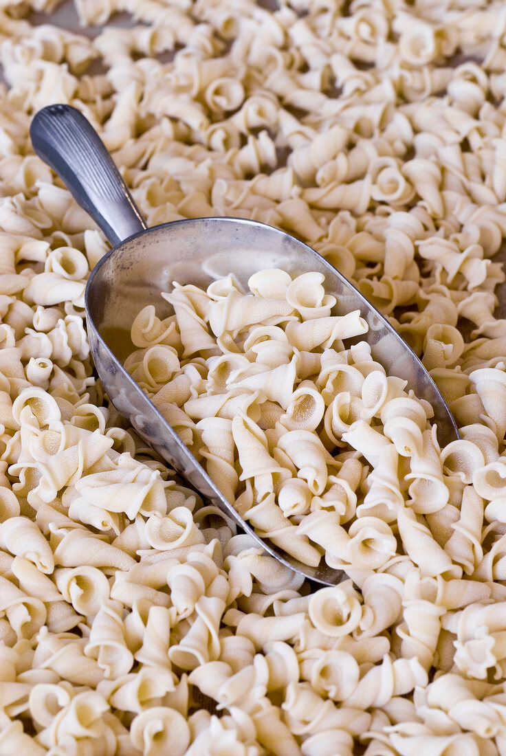 Close-up of funnel shaped raw noodles with flour scoop