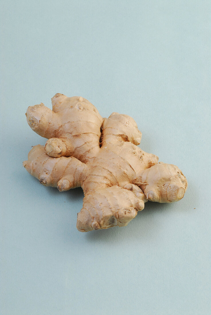 Fresh ginger root on gray background