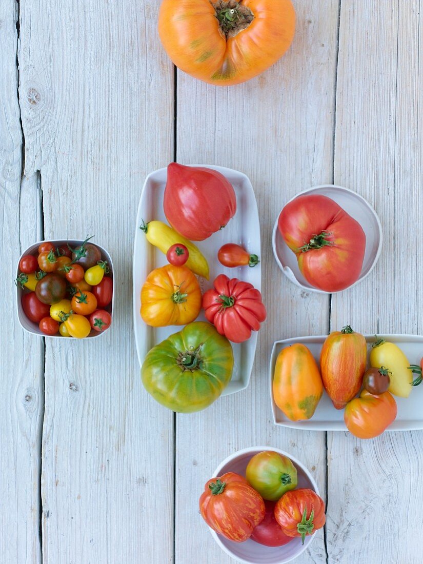 Viele unterschiedliche Tomatensorten