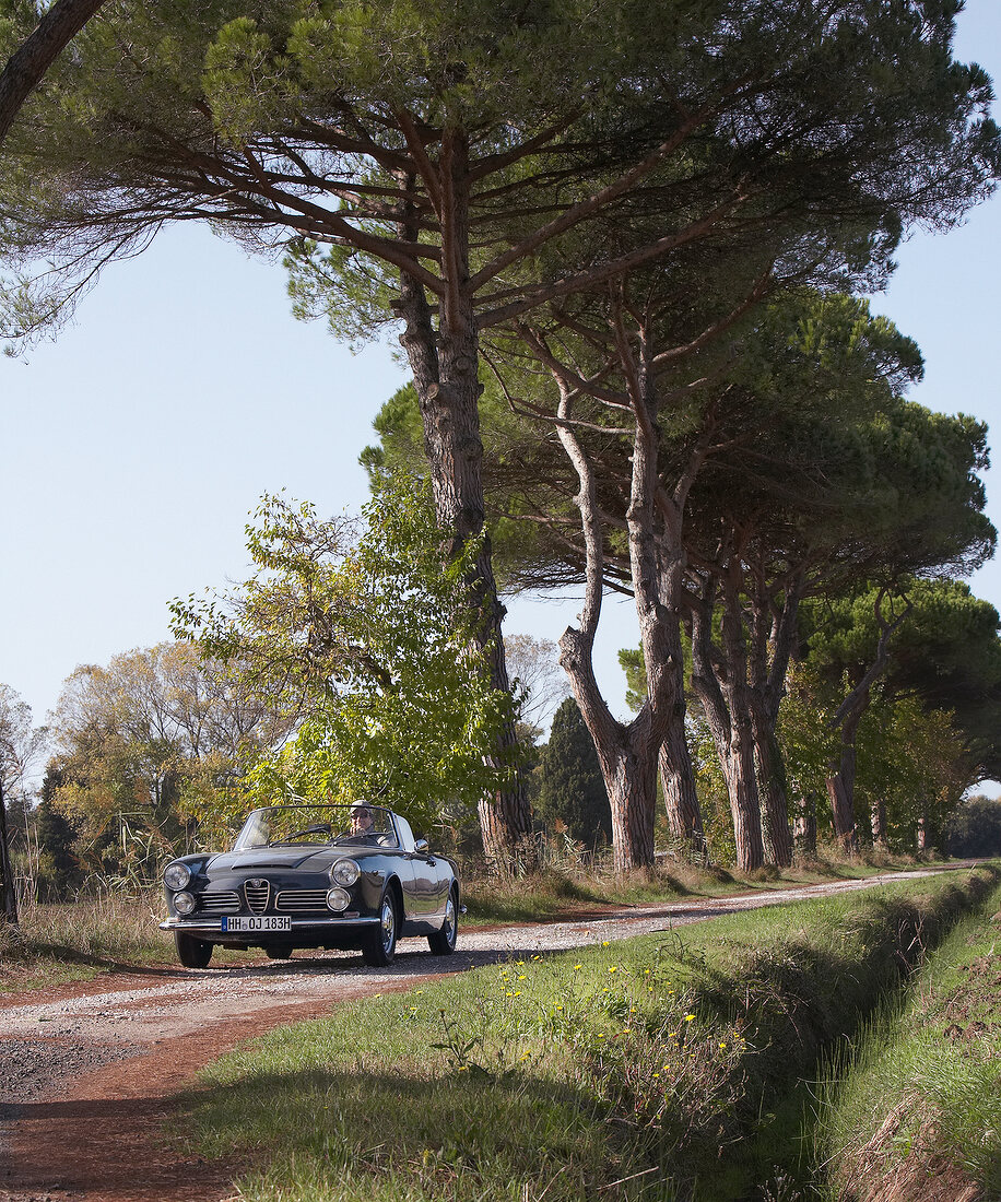 View of person driving black Alfa Spider on dirt track with tree lined in background