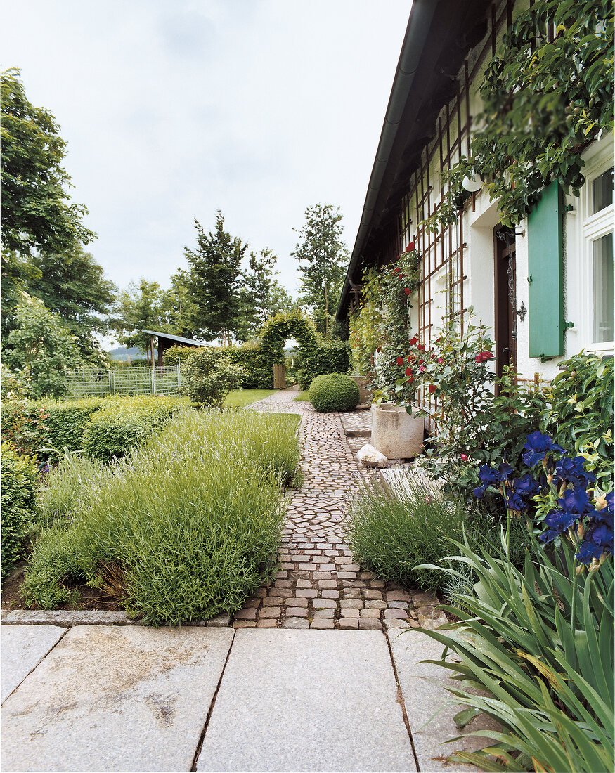 House facade with trellis