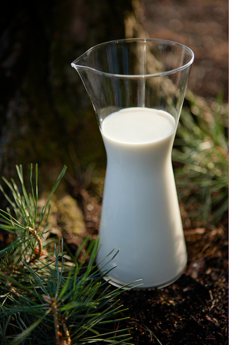 Close-up of glass jug with milk