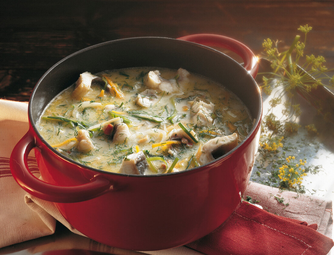 Suppen, Aalsuppe mit Dill, Möh ren und Lauch im Kochtopf