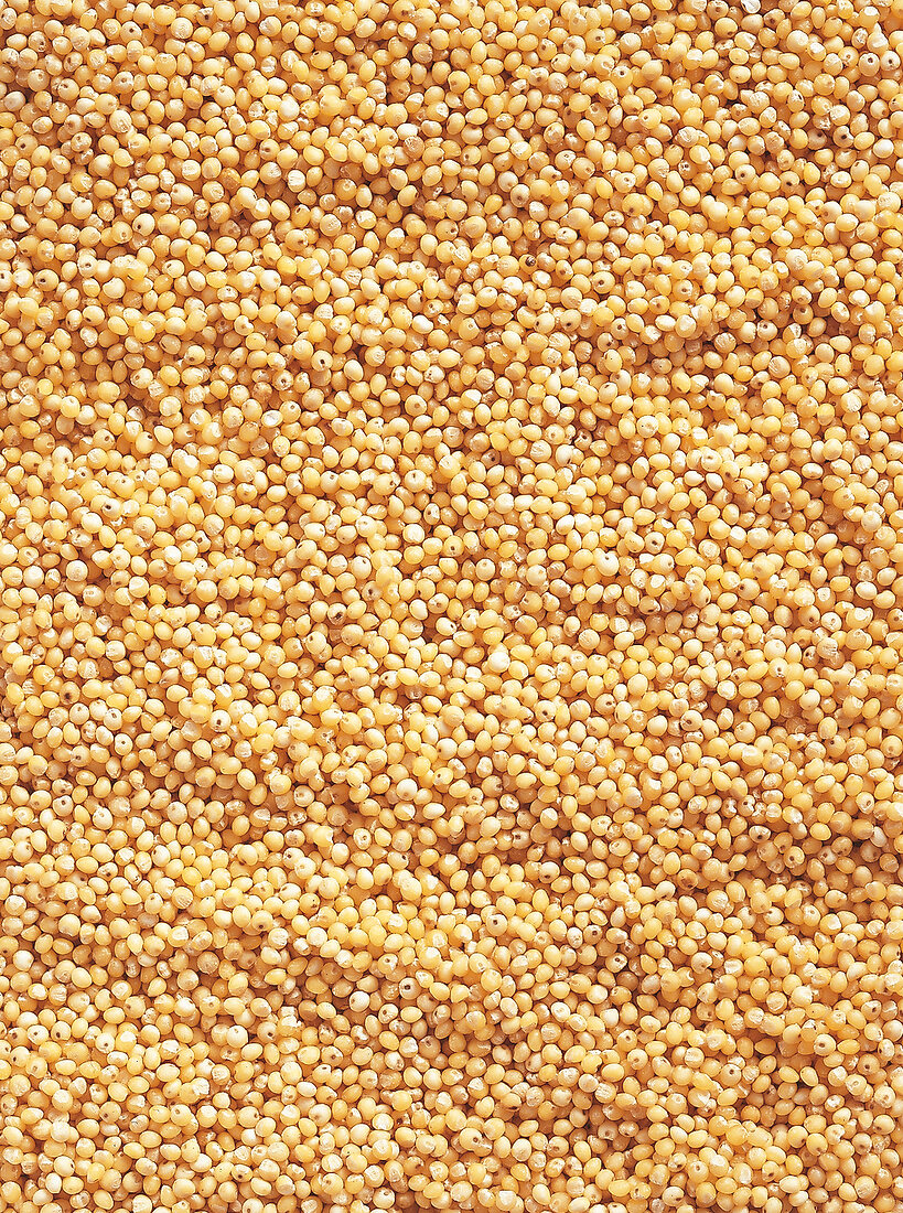 Full frame of millet grains