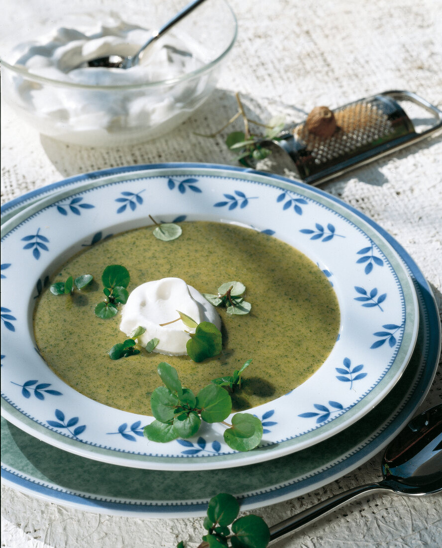 Watercress cream soup with cream in bowl