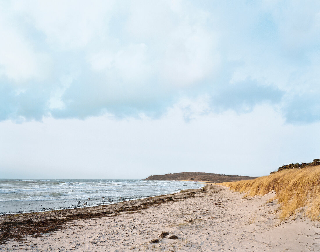 View of beach with waves and pasture grass at Hiddensee Island in Baltic Sea, Germany