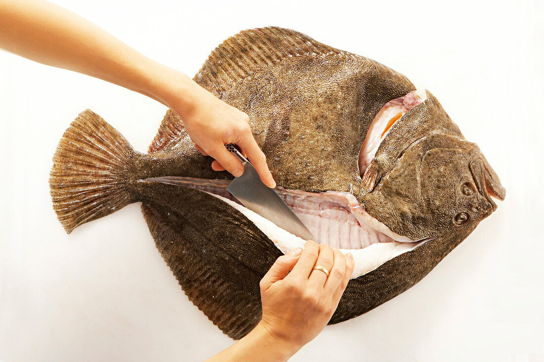 Turbot fish being cut into fillets and separated from backbone with knife, step 2