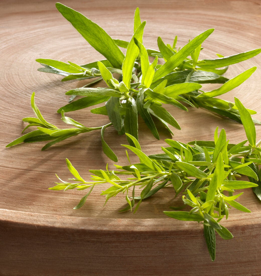 Close-up of German and French tarragon on wood