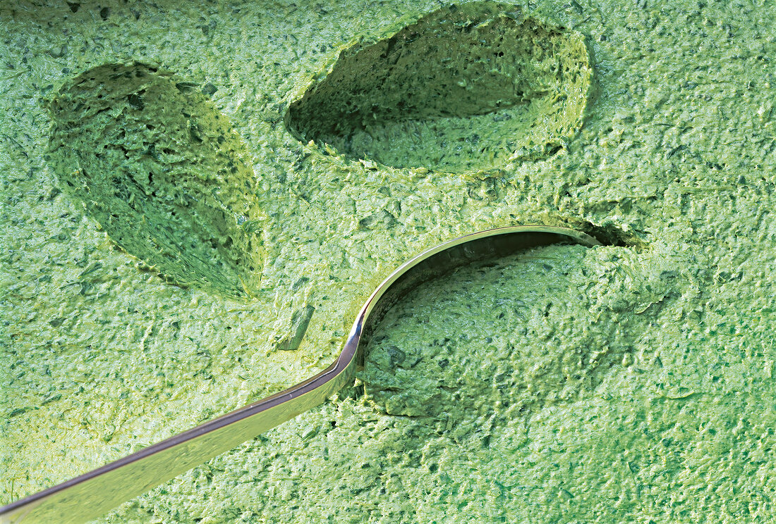 Close-up of spoon in herb mousse