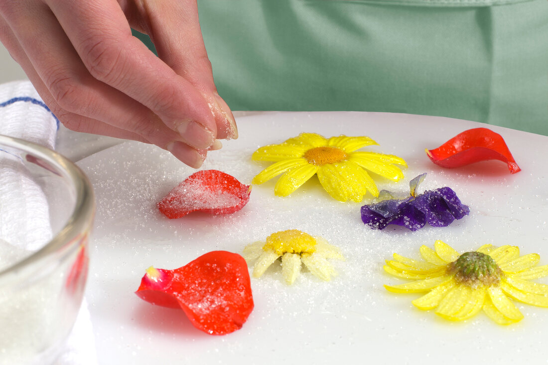 Flowers being sprinkled with sugar, step 2