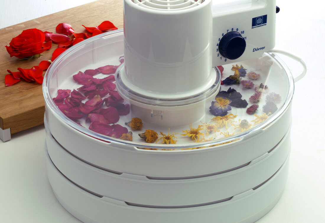 Flowers being dried in drying apparatus, step 3