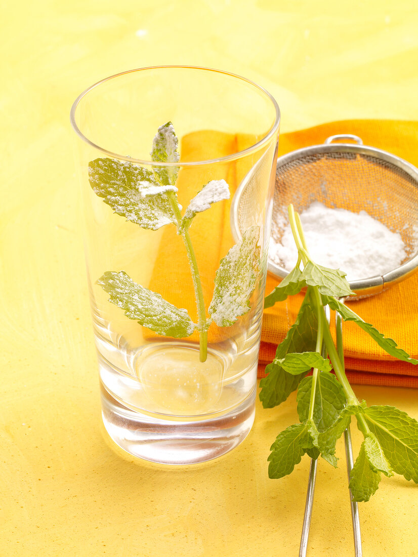 Mint sprinkled with icing sugar in tall glass