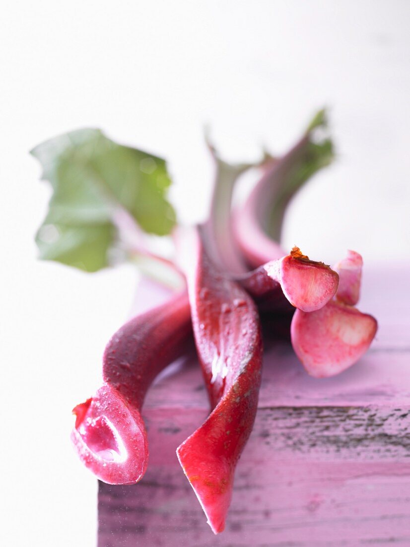 Rhubarb (close-up)