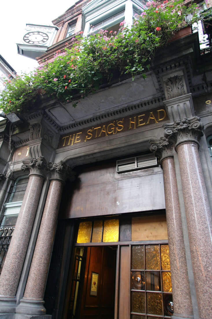 The Stag's Head Bar Dublin Irland