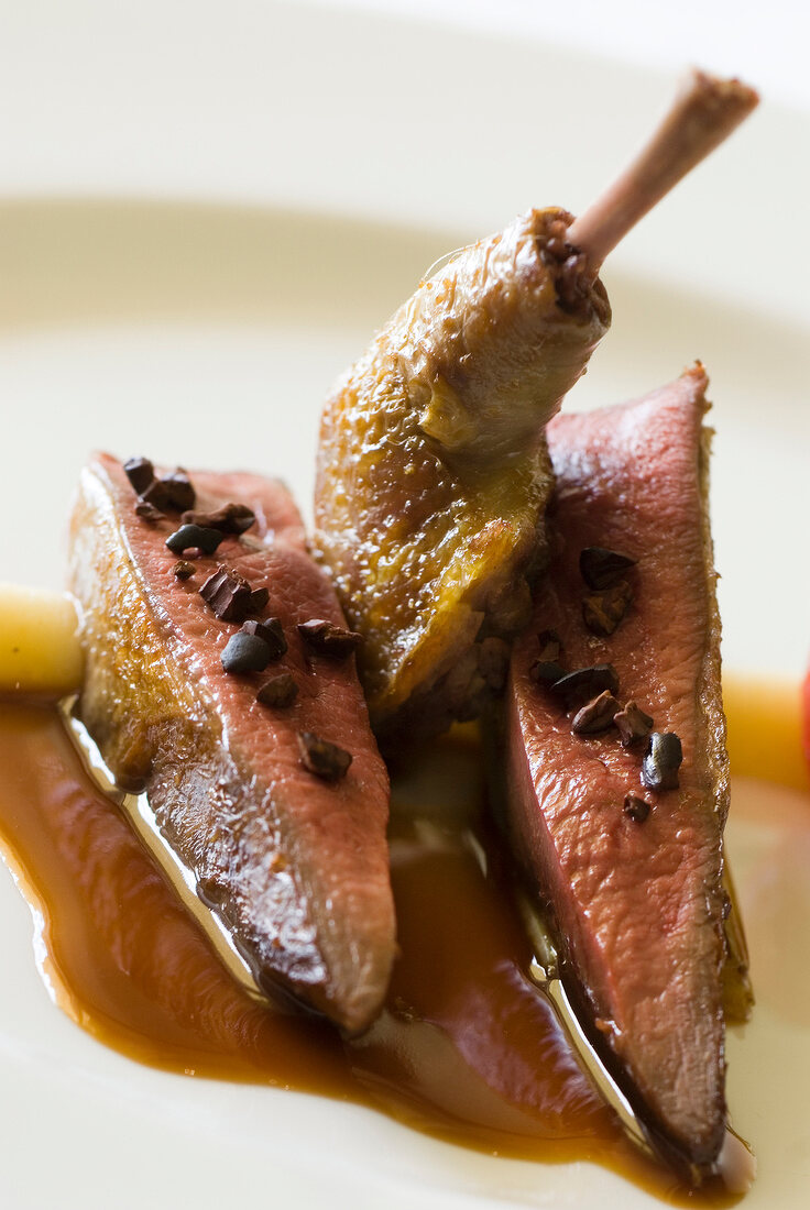 Close-up of pigeon breast and keule with chestnuts, cocoa beans and pigeon sauce