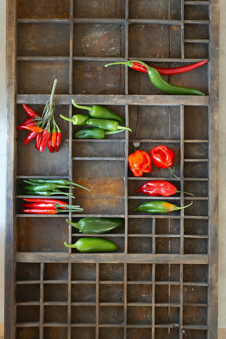 Various types of chillies, overhead view