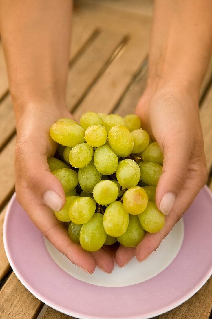 Close-up of hands holding bunch of ripe grapes