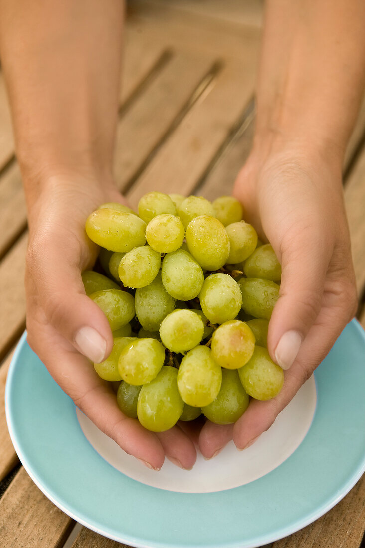 Close-up of hands holding bunch of ripe grapes