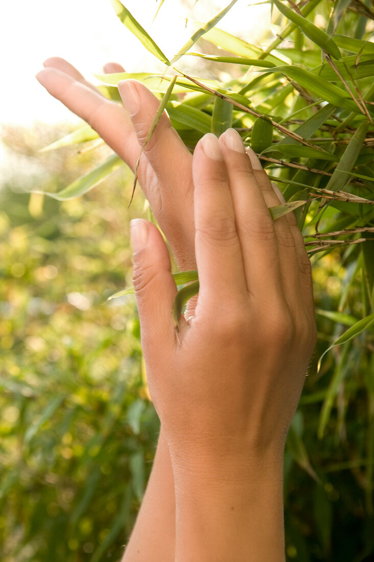 Close-up of hands on bamboo dish