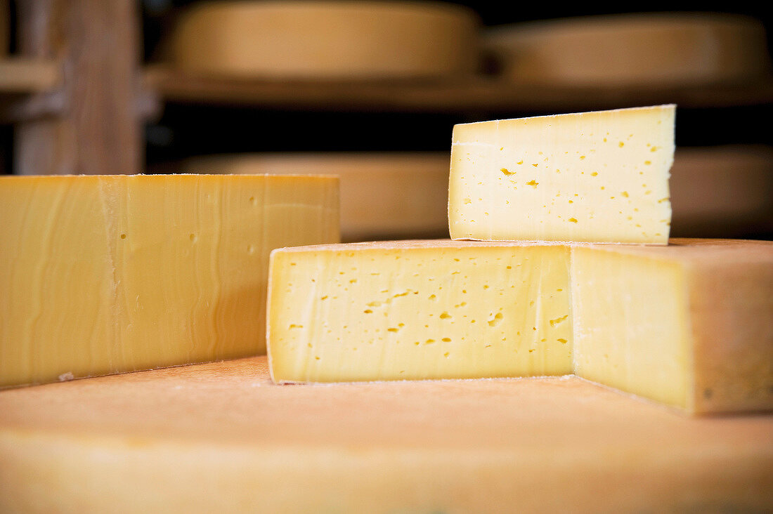 Close-up of mature mountain cheese with fine perforation