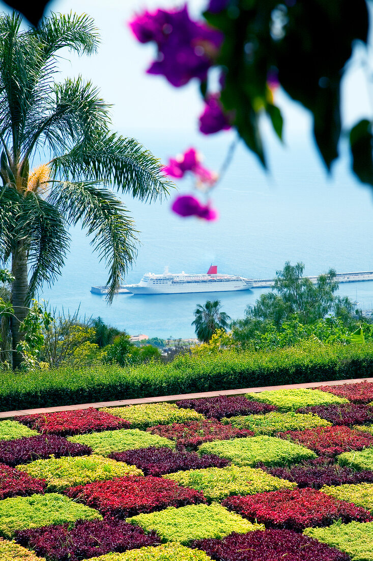 View of botanical garden with cruise ship in background, Madiera Island, Funchal, Portugal