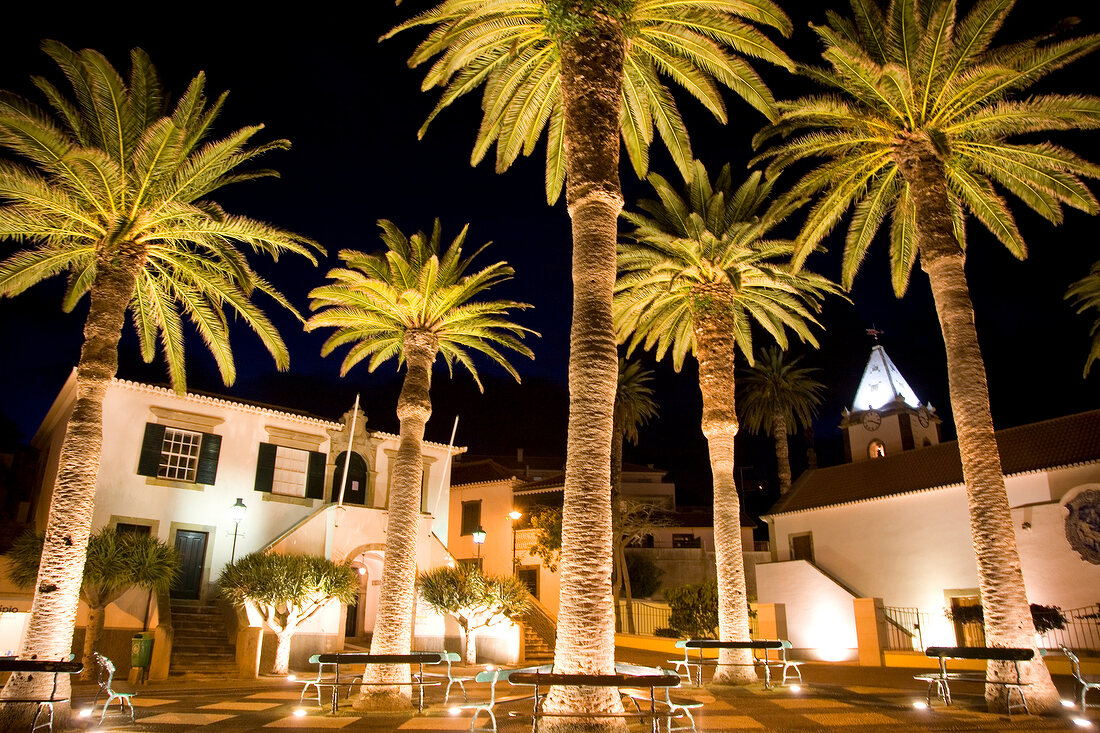 Illuminated palm tees in Hotel Vila Baleira Resort, Porto Santo island, Madiera, Portugal