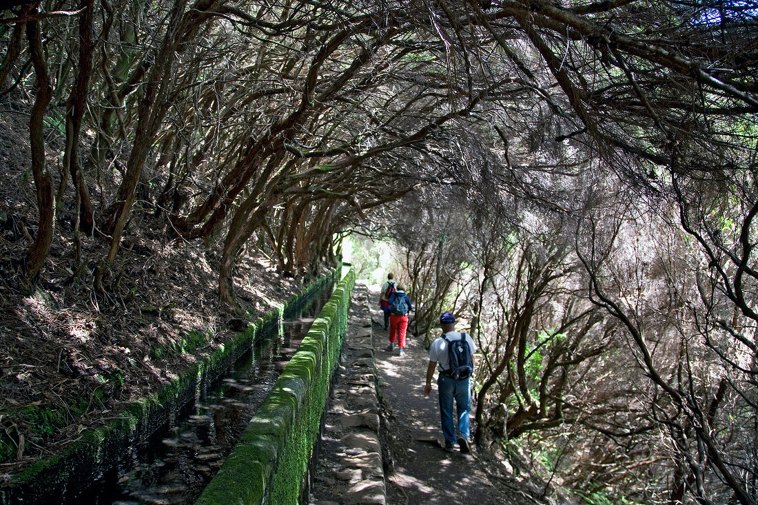 Madeira: Touristen bei einer Levada- Wanderung, Levada do Risco